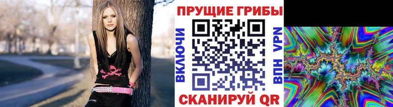 Галлюциногенные грибы мухоморы Осташков
